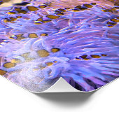 Tropisch Zee koraal Foto Afdruk (Hoek)