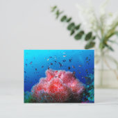 Tropisch Zee Leven Roze gloeiend Anemone Coral Briefkaart (Staand voorkant)