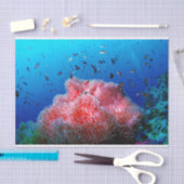 Tropisch Zee Leven Roze gloeiend Anemone Coral Tissuepapier (Craft)