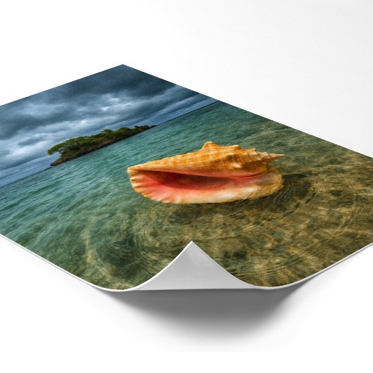 Tropisch Zee Shell en Island Uitzicht Poster (Hoek)