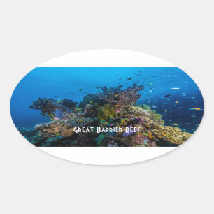Tropisch Zee van de Grote Barrière Ref Koraal Ovale Sticker
