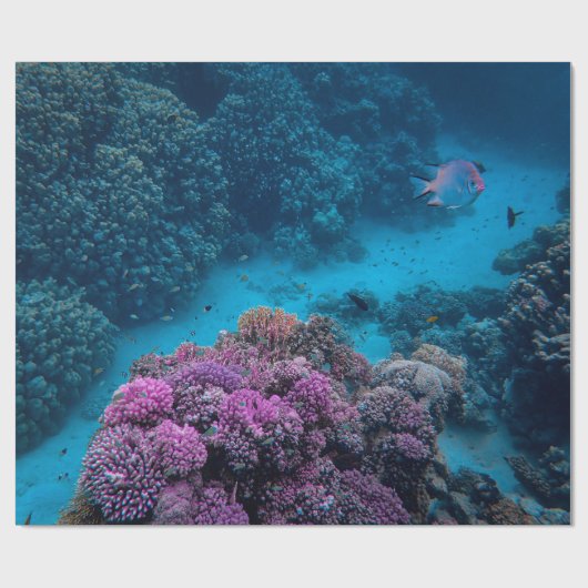 Tropisch Zee viskoraal Cadeaupapier (Vlak)