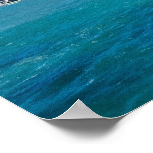 Tropisch zeekapje poster (Hoek)