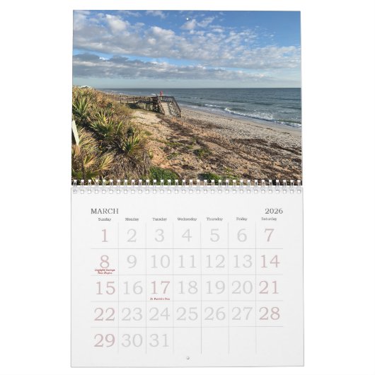 Tropisch zoeken Fotografie Aangepaste agenda Kalender (Mar 2026)