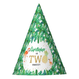 Tropisch zomerstrand Luau Boys 2e verjaardag Feesthoedjes