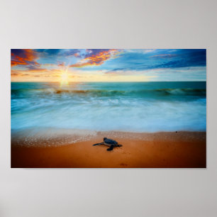 Tropisch zonnig Zee Schorst Sandy Beach Poster