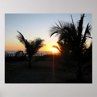 Tropisch Zonsondergang Silhouet Poster