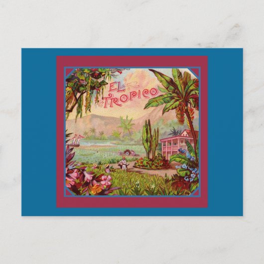  tropische aanplant briefkaart (Voorkant)
