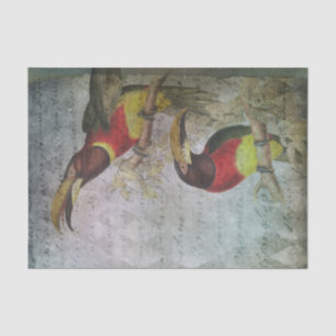 tropische aanraking tissuepapier