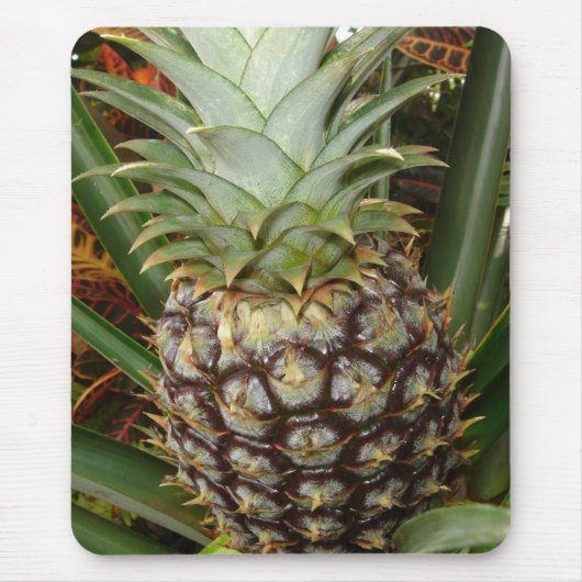 Tropische achtertuin Pineapple Mousepad Muismat (Voorkant)