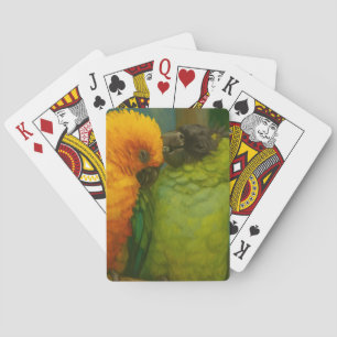Tropische affectie - Papegaaien in het licht van h Pokerkaarten