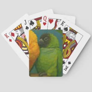 Tropische affectie - Papegaaien in het licht van h Pokerkaarten