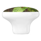 "TROPISCHE ANTHURIUMPLANTEN" CERAMISCHE DEUR/PULL  KERAMISCHE KNOP (Zijkant)