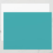 Tropische Aqua / Turquoise Solid Color SW 6767 (Voorkant / Achterkant)