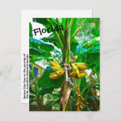 Tropische Banana Palm Tree St Augustine Florida Briefkaart (Voorkant / Achterkant)
