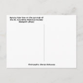 Tropische Banana Palm Tree St Augustine Florida Briefkaart (Achterkant)