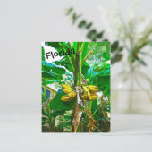 Tropische Banana Palm Tree St Augustine Florida Briefkaart (Staand voorkant)