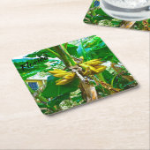 Tropische Banana Palm Tree St Augustine Florida Kartonnen Onderzetters (Schuin)