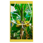 Tropische Banana Palm Tree St Augustine Florida Klein Cadeauzakje (Achterkant)
