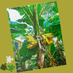 Tropische Banana Palm Tree St Augustine Florida Legpuzzel