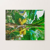 Tropische Banana Palm Tree St Augustine Florida Legpuzzel (Horizontaal)