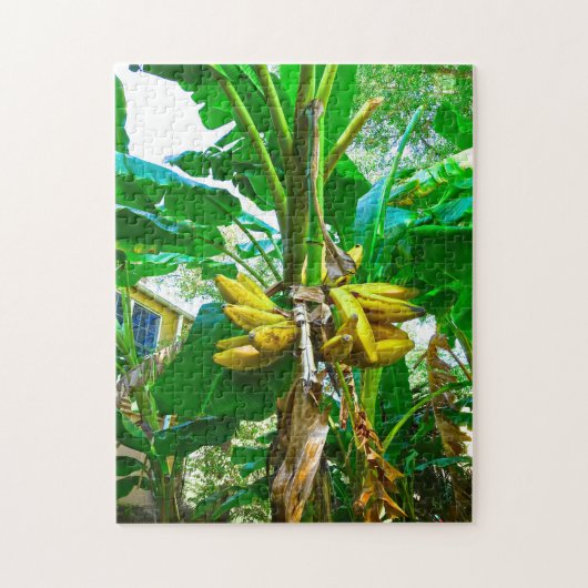 Tropische Banana Palm Tree St Augustine Florida Legpuzzel (Verticaal)
