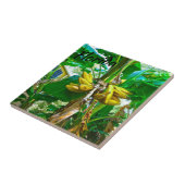 Tropische Banana Palm Tree St Augustine Florida Tegeltje (Zijkant)