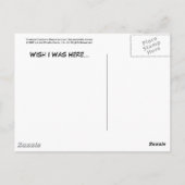 Tropische Beer Post Card Briefkaart (Achterkant)