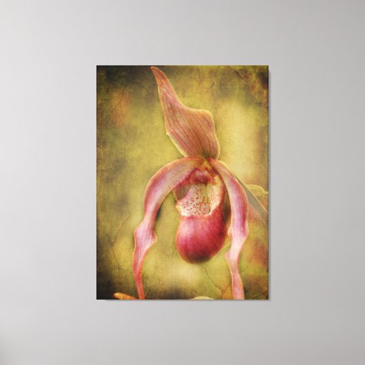 Tropische Betovering Canvas Afdruk (Voorkant)