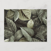Tropische bladeren 5 briefkaart (Achterkant)