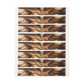 Tropische bladeren 6 (Vel)