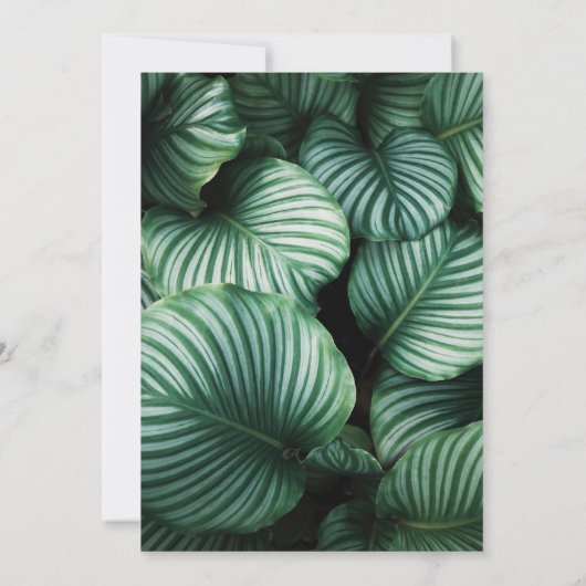 Tropische bladeren en ananas Luau-Afstuderen Kaart (Achterkant)