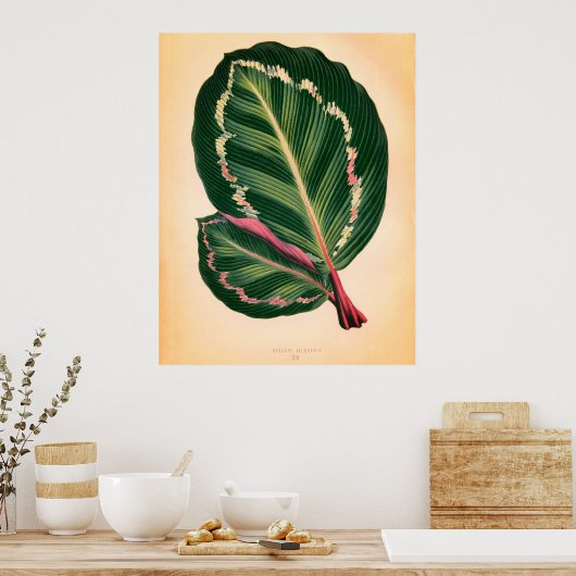 Tropische Bladeren - Geschikt voor framing Poster (Keuken)