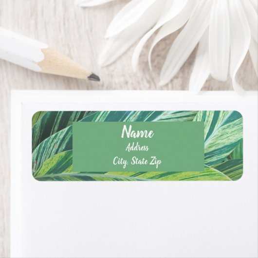 Tropische bladeren gestripte groene olievlekken etiket (Insitu)