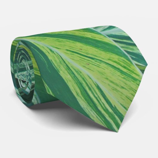 Tropische bladeren gestripte groene olievlekken stropdas (Opgerold)