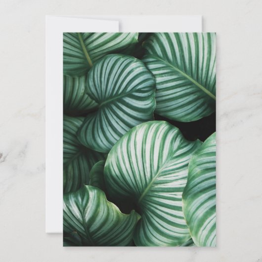 Tropische bladeren Hawaiian Beach Weddenschap Kaart (Achterkant)