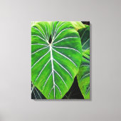 Tropische bladeren, olifantenoorten, donkergroen canvas afdruk (Voorkant)