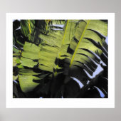 Tropische bladeren poster (Voorkant)