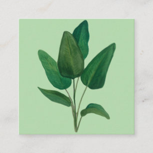 Tropische bladeren vierkante visitekaartje