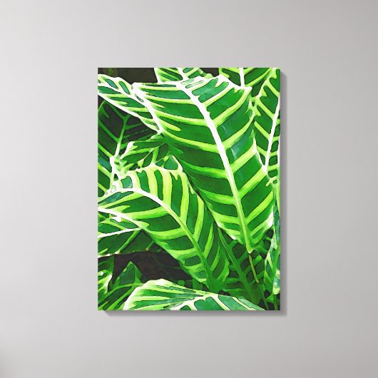 Tropische bladeren, Zebra, donkergroen Canvas Afdruk (Voorkant)