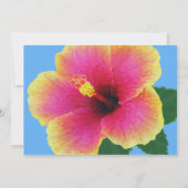 Tropische blauwe Hibiscus Bloeduitvindingen Kaart (Achterkant)