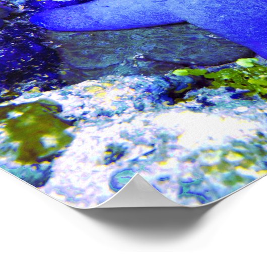 Tropische blauwe staartvis die op onderzeese koraa poster (Hoek)