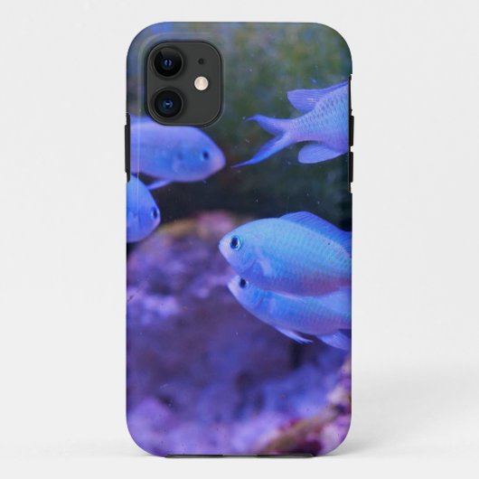Tropische blauwe vis Case-Mate iPhone case (Achterkant)