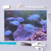 Tropische blauwe vis tissuepapier (Craft)