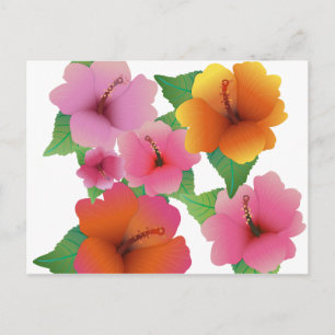 Tropische bloem exotisch hibiscus briefkaart