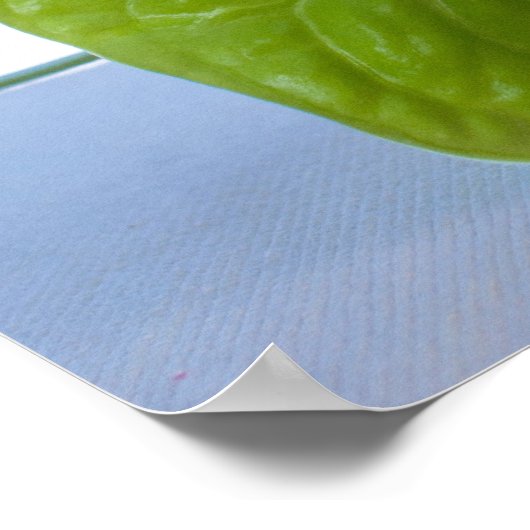 Tropische bloem op het strand poster (Hoek)