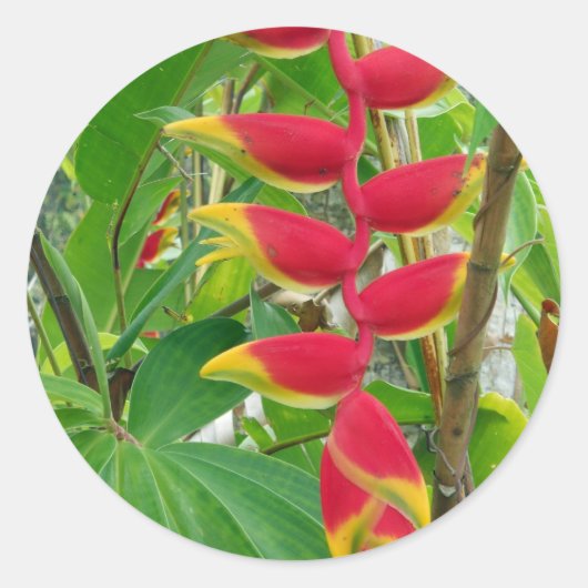 Tropische bloem ronde sticker (Voorkant)