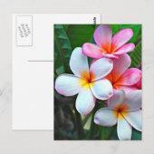 Tropische bloemen briefkaart (Voorkant / Achterkant)