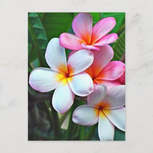 Tropische bloemen briefkaart