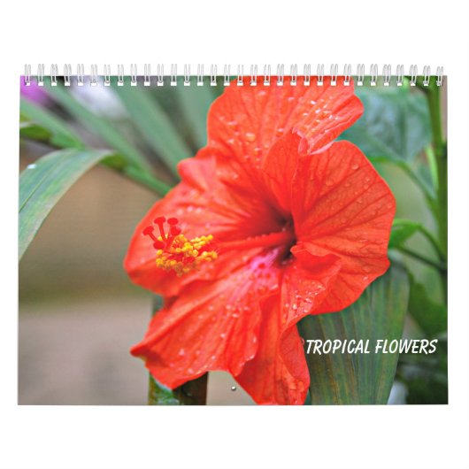 Tropische bloemen kalender (Hoes)